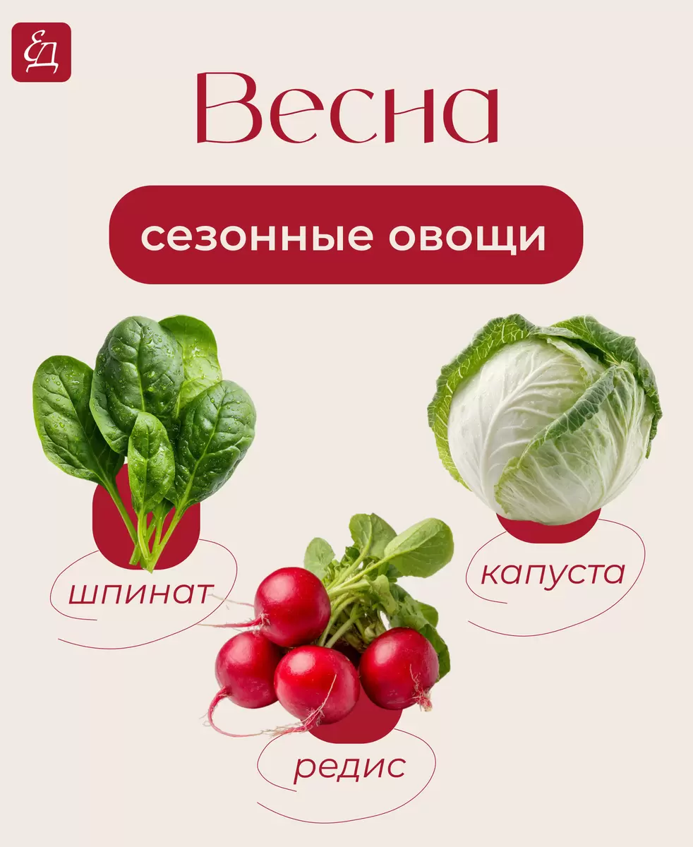 Весна на грядках: самые полезные овощи сезона