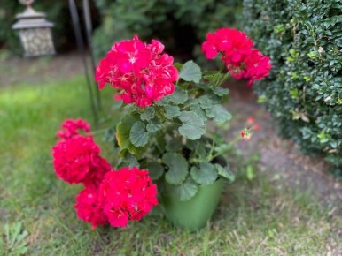 ��� ��������� ��������� ���������� � ���: ������� ����������� �������