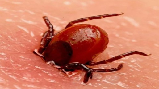 �� ���������: ��� ���������� � ��������� ������ � ����� ��������