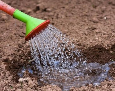 ��� ������� ��������� ������������� ����� ����������� ��� �������