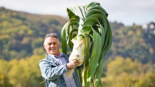 ��������������: ���������� ���-����� ����� ������� � ���� ������� ����� ��������