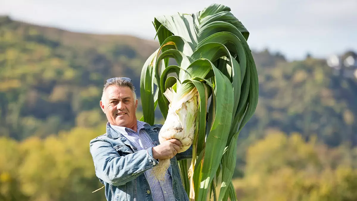 Великобритания: гигантский лук-порей побил рекорды и стал звездой Книги Гиннесса