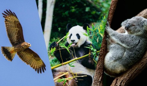 ���� ������������ �������� � ����������� �������