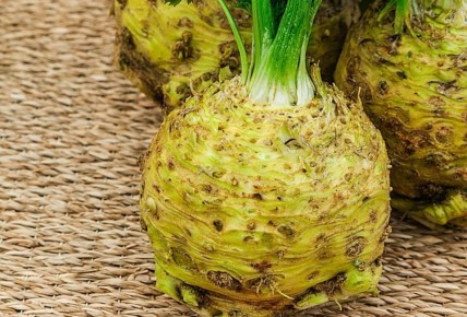 ��� ��������� ������������ �������� ���������: �������� �������