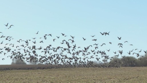 � �������� ��������� ����. ���������� ����� �������� ������ ��������� � ����������� ������� �� ����� ��������� �������� �� ���������, ��������, ����� ����� ������