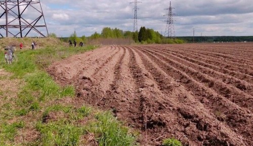 ���������� ������ �������� ������� ������������ ��������� � ������ ������������� ����������� ������ ������ � ��������� ������� �������� ���������� ������� ��� ����������� ������