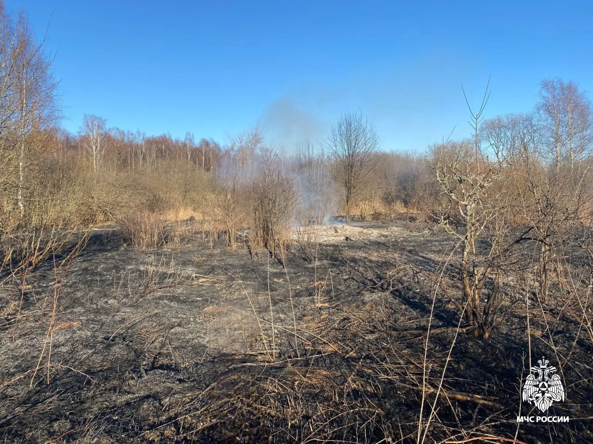 #ПожарыЗаСутки. #Вести_с_горящих_полей