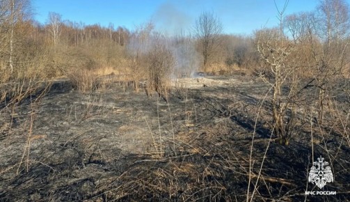 В Костроме потушили пал травы у платформы Малышково