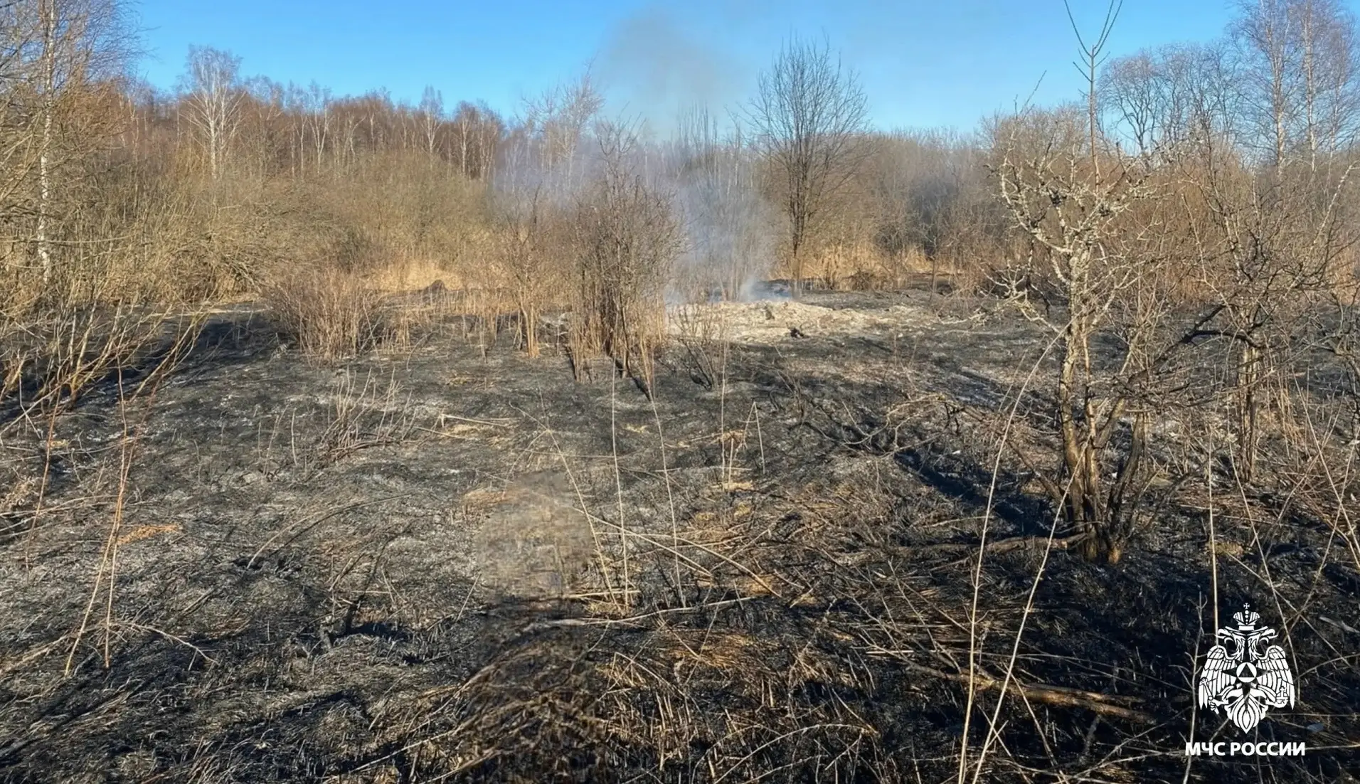 В Костроме потушили пал травы у платформы Малышково