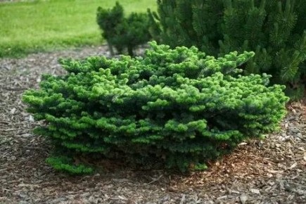 �����: ������� ������ ��� ������ ���� � �������