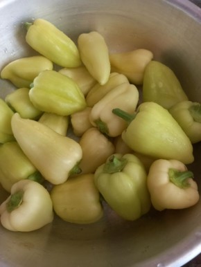 Оптимальные источники калия для овощей