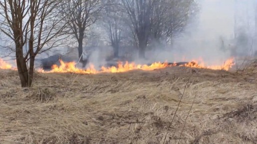 Один квадратный километр сухой травы выгорел за день в Костромской области