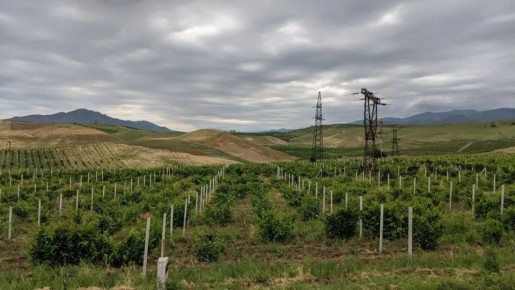 ������: ��� ��������� ���� ���������� ������� �������