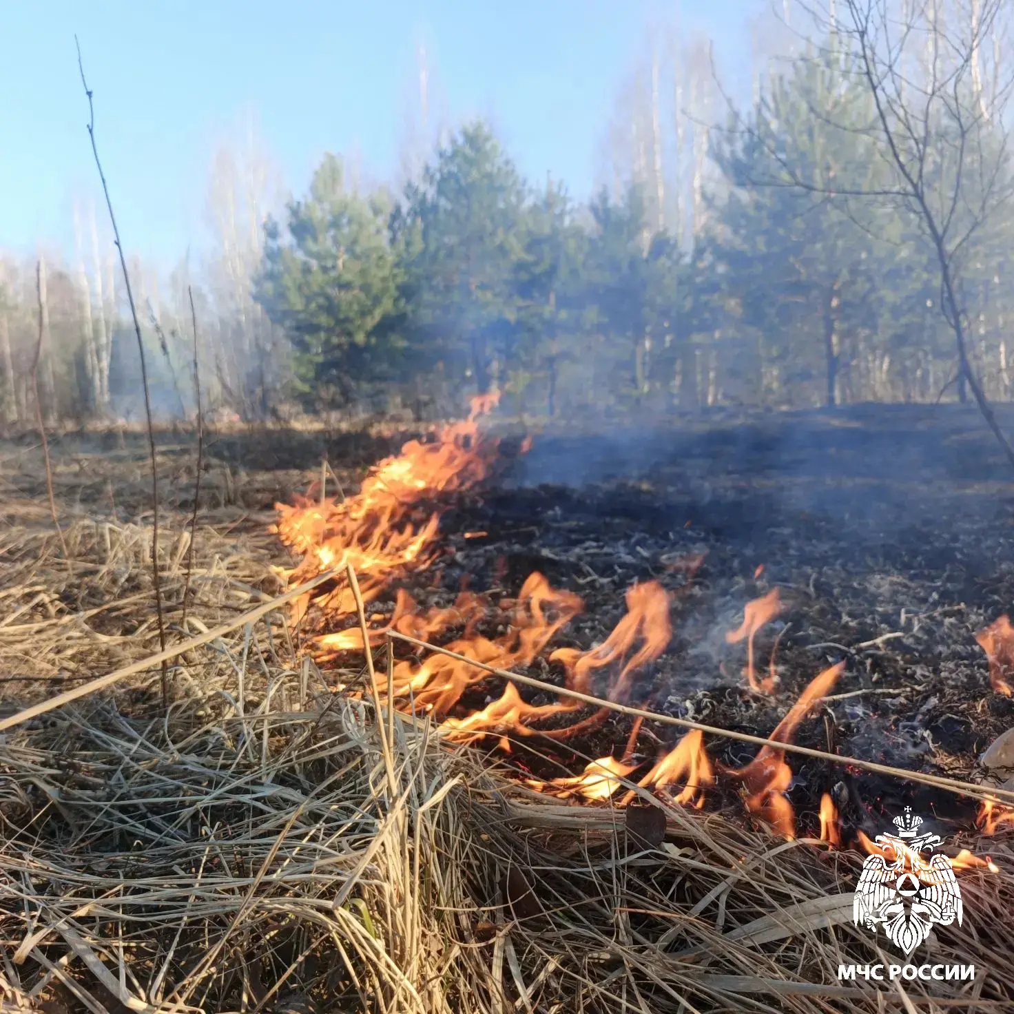 #ПожарыЗаСутки. #Вести_с_горящих_полей #ПожарыЗаСутки. #Вести_с_горящих_полей