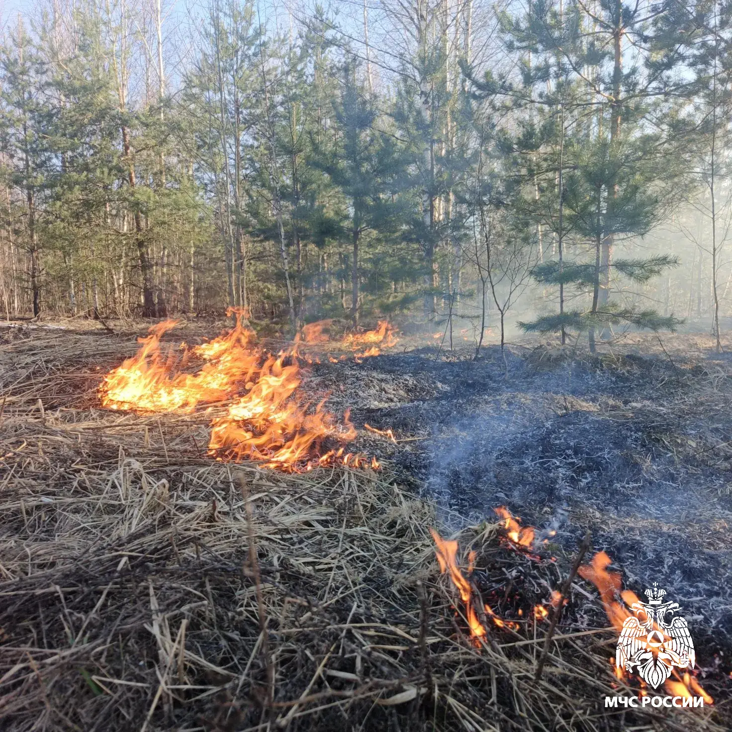 #ПожарыЗаСутки. #Вести_с_горящих_полей #ПожарыЗаСутки. #Вести_с_горящих_полей