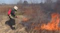 За сутки в Костромской области случилось ещё 13 палов травы
