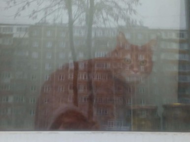 � �������� ��� ����� ������� ����������� � �������� � ��������