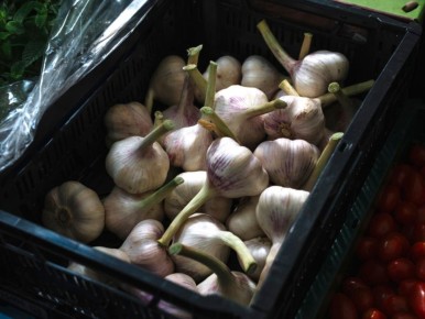 ��� ������ ������ ����� �������� ������� ������: ������� ����������� ���������