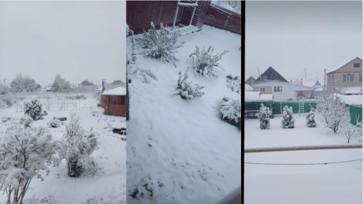 ��� �������� ��� �� ������� ����������: ������������ ������ ��� ��������