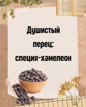 �������� �����: ��������� ������, ��������� ����������� ����� �����