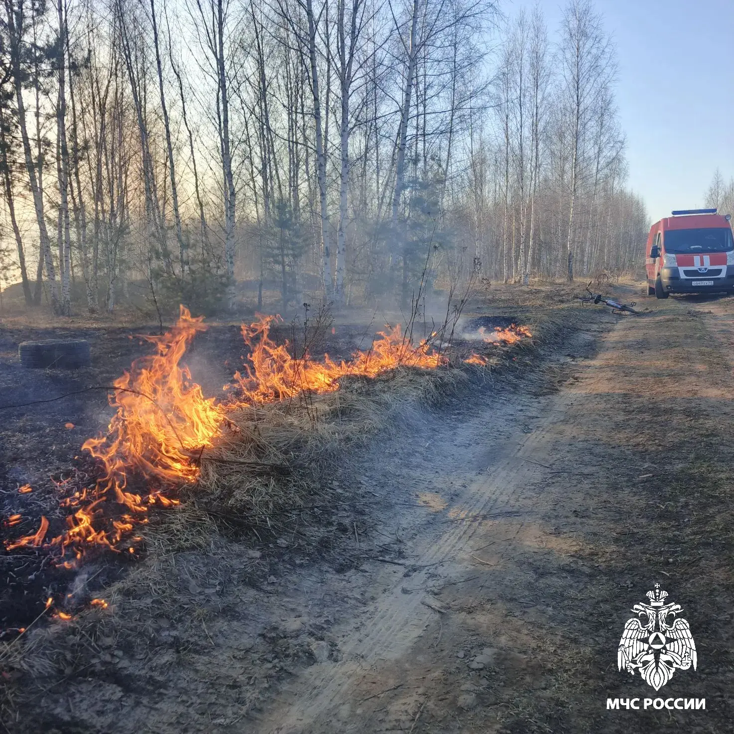 #ПожарыЗаСутки. #Вести_с_горящих_полей