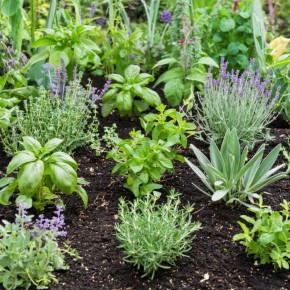 �������� ������������ ���: 10 ���������� �������� ��� ����� ����