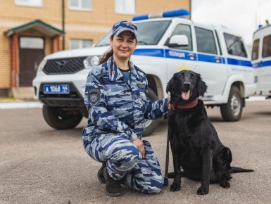 #��������������� ������� ������� ������ ���������-������� ��� ���� ������ �� ����������� ������� ����� ������ � ������������ ���� � �������� ����� �������� �������� �����