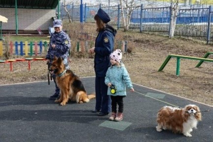 ����������� �������� � �� ������� ������� ��������� ������� ��� ��������