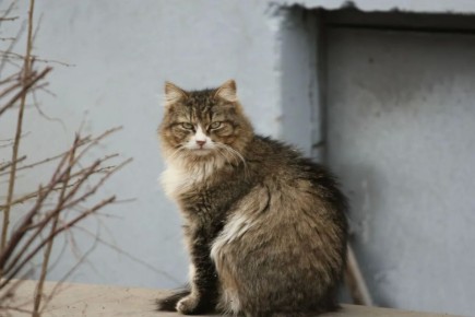 ��������� �������� ��������� ��������� �� ����� � ��������