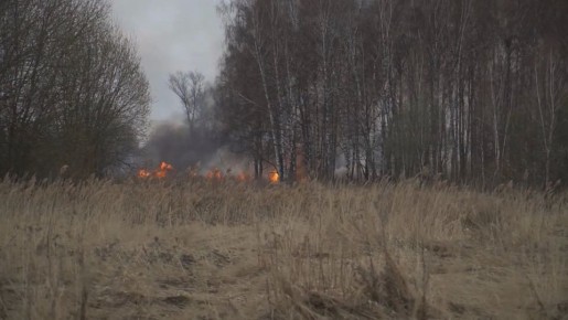 38 ����� ����� ����� �� ������ ������������� � ����������� �������