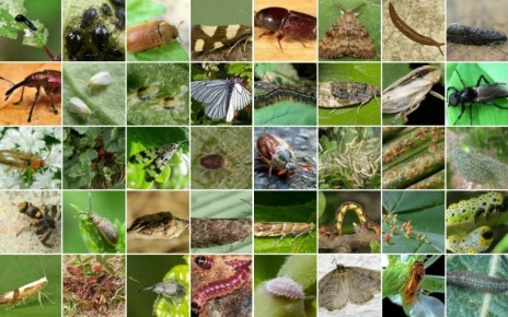 �������� ��������� � ����� ����: ��������� ��������� ��� �����