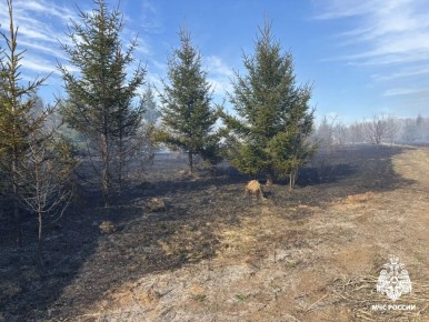 #�������������. #�����_�_�������_�����