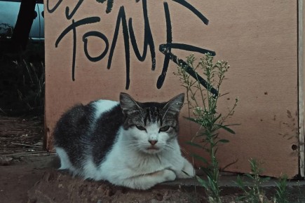 ������ ��������� �� �������� ����� � �������