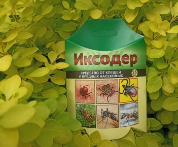 ��� ���������� ������������ �� �������: ������ � ������� � ����� � ���������� �������