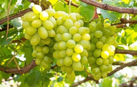 �������� ���������: ���������� ���� ��� �������� � ������������