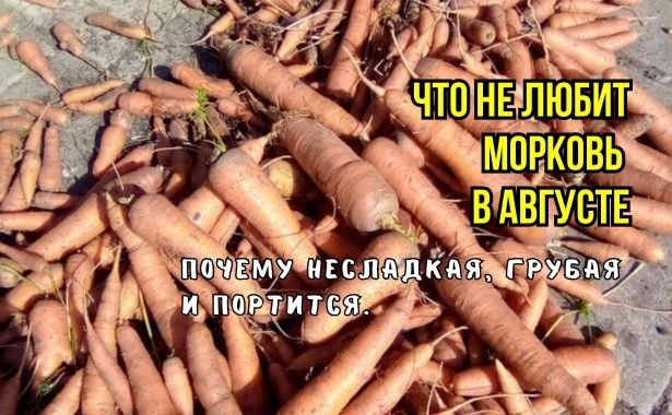 ��� ��������� ��������� �������: ��� �������� ������ ��� ����� ������ � �������