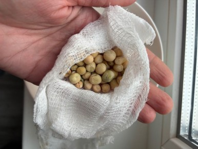 �������: ������������ ����������� � ���� ��������