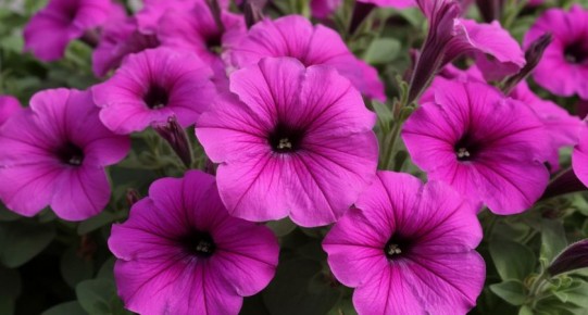 10 ������������� ������, ������� ����� ������ �� ����