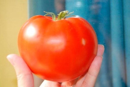 ����� ������: ��������� ������� ��� ��������� �������� ������