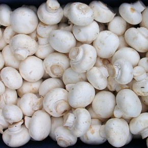 ����������: ����������� ����� � ��������� ����� �����