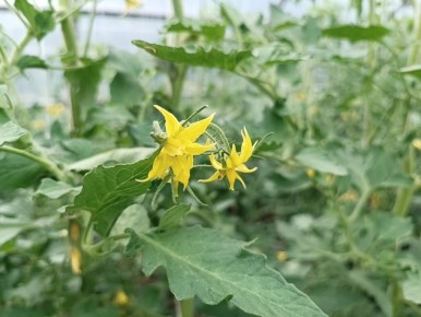 5 �������� ��������� ������������ �������: ������ ��� ������� ����������