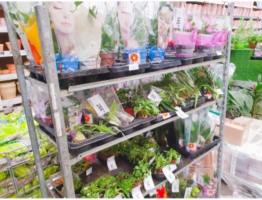 ��� ������� �������� �� ��������� ��������� � �� ���������