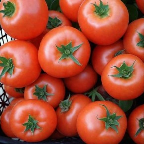 ����� ������: ������������ ������� ��� ������� ����������