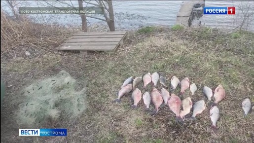 ���������� ����������� ������������ ������� ��������� � �������� ����������