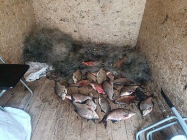 �������� ������, ���������� �� ������ ������ �. ����� �������� �������������� ���� ������ �� �. �������������. ����� � ��� ������������� ��� ���� ������� � ��������, ��������� �� �������� �� ���������� � �������� ��������...