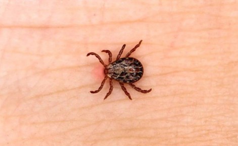 ��� �� ������� � ����� �����