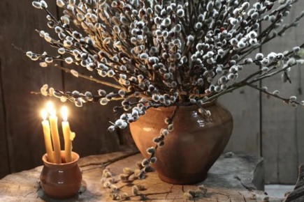 ������� �����������: �������� � ������� ��� ��������� ���������