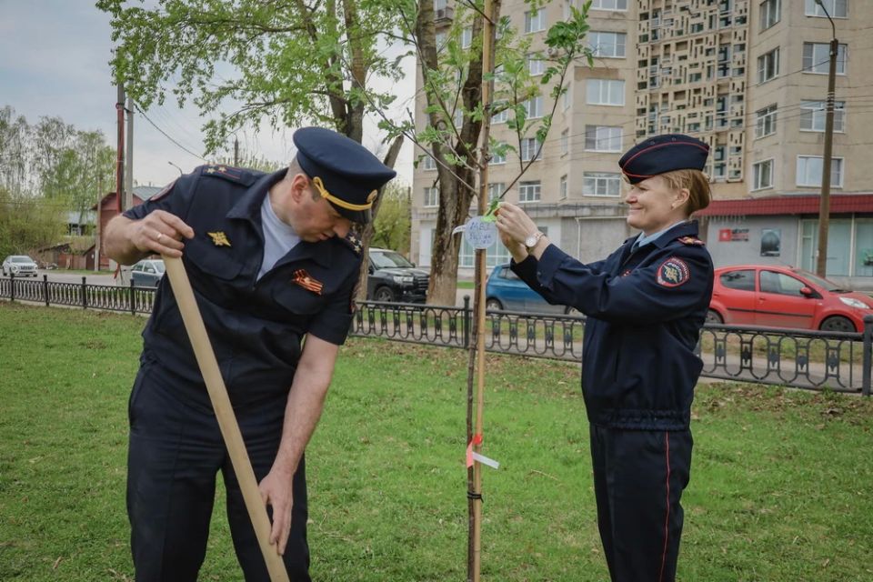 Сотрудники костромской полиции высадили аллею в рамках акции «Сад памяти» Сотрудники костромской полиции высадили аллею в рамках акции «Сад памяти»