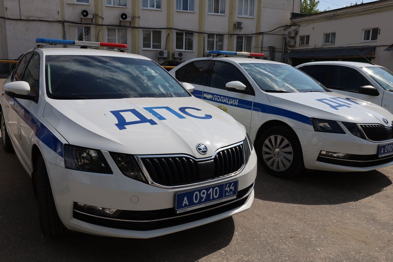 В Шарье полицейские привлекли к ответственности нетрезвую водительницу, лишенную прав