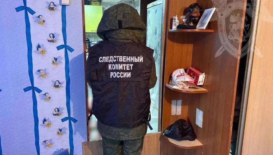 Костромичка зарезала сожителя в квартире с добрыми феями на обоях
